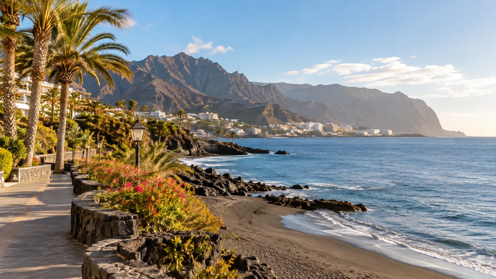Palm-lined volcanic coastline and dark sand beach in the Canary Islands